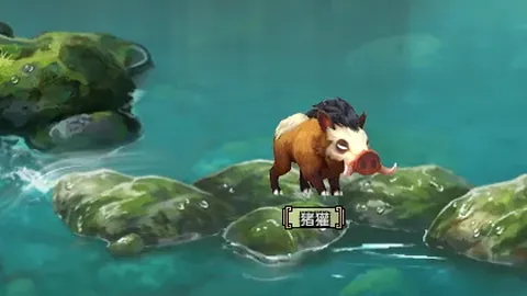 2026美加墨世界杯官网